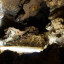 Пещера Самородная: фото №595531