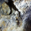 Пещера Озерная: фото №605276