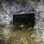 Синявские пещеры: фото №616849