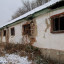 Ферма по разведению лошадей на Ремизовке: фото №632117