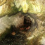Пещера Пчелиная: фото №634707