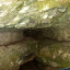 Пещера Пчелиная: фото №634708