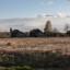 Деревня Кочкомозеро, недалеко от Надвоиц.: фото №642086
