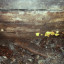 Наклонный ствол шахты №3: фото №646644