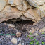 Поповская пещера: фото №654334