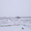 Тактическое поле при полигоне Военного института КНБ РК: фото №733480
