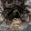 Эльбрусский рудник: фото №663523
