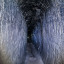 Шатрищегорская пещера: фото №667635