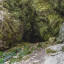 пещера в Тисо-самшитовой роще: фото №676749