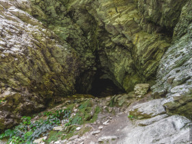 пещера в Тисо-самшитовой роще