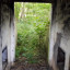 Небольшой бункер в лесу: фото №686019