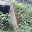 Небольшой бункер в лесу: фото №686021