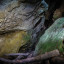 Большая Ахунская пещера: фото №692162