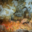 пещера Окроджанашвили: фото №698637