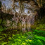 пещера Окроджанашвили: фото №698639