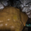 Пещера Ведьм: фото №705222