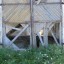 Брошенное депо в городе Имандра: фото №26721