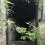 Убежище Ачинского механического завода: фото №711548