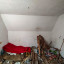 Покинутый дом на Дадаева: фото №730341