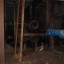 Кабельный коллектор завода по обработке металлов: фото №746012