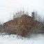 Руины городской бани в Вышнем Волочке: фото №744703