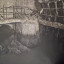 Подводящий канал к Люберецким очистным сооружениям: фото №761276