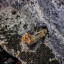 Кёнигсбергский подземный ручей Понарт: фото №761757