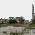 Черновицкий сахарный завод