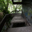 Заброшенная набережная и лестница типографии «Совсибирь»: фото №794845