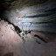 Саблинские пещеры – Козленок: фото №799272