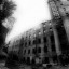 Сгоревший дом на Петроградке: фото №30700
