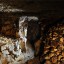 Пещера Барсучья нора (Дыхло барсучье): фото №446665