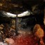 Пещера Барсучья нора (Дыхло барсучье): фото №446668