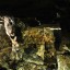 Пещера Барсучья нора (Дыхло барсучье): фото №546951