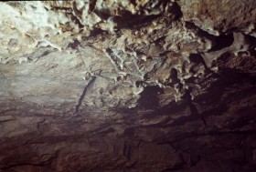 Пещера «Лисичка»
