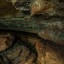 Саблинские пещеры - Жемчужная: фото №548860
