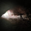 Саблинские пещеры - Штаны: фото №785743