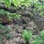 Крепость Тронгзунд с подземельями: фото №111718