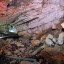 Воронцовская система пещер: фото №670383