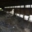 Заброшенные строения завода «Стройиндустрия»: фото №547843