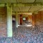 Недостроенные корпуса аграрного университета: фото №559841