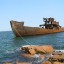 Мертвое судно «Пересвет»: фото №40455