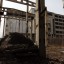 Заброшенный завод по производству комбикорма: фото №287544