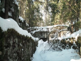 Селезнёвский форт