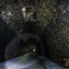 Дидинский тоннель: фото №666238