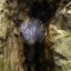 пещера Сугомакская: фото №517759