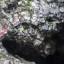 пещера Сугомакская: фото №617239