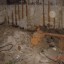 Заброшенный подземный переход: фото №49211