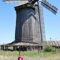 Ветряная мельница в Бариновке