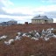 полярная станция Остров Колючин: фото №53255